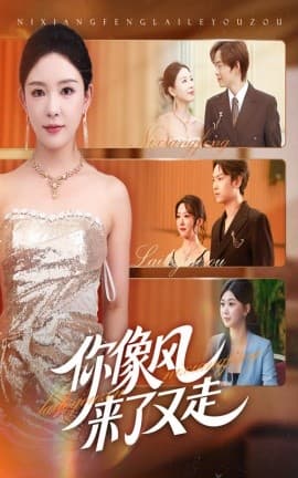 你像风来了又走 - 现代都市 2025