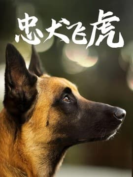 忠犬飞虎 - 现代都市 (2025) 海报