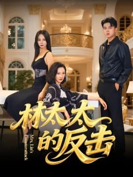 林太太的反击 - 现代都市 (2025) 海报