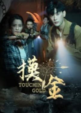 摸金短剧版 - 年代穿越 (2025) 海报