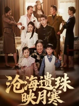 沧海遗珠映月寒 - 现代都市 (2025) 海报