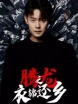 腾龙之衣锦还乡 - 现代都市 (2025) 海报