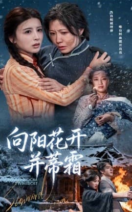 向阳花开并蒂霜 - 年代穿越 (2025) 海报
