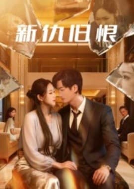 新仇旧恨 - 现代都市 (2025) 海报