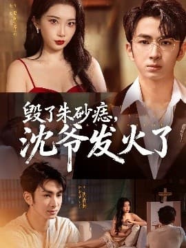 毁了朱砂痣，沈爷发火了 - 现代都市 (2025) 海报