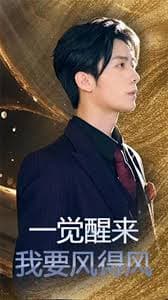 一觉醒来我要风得风 - 现代都市 (2025) 海报