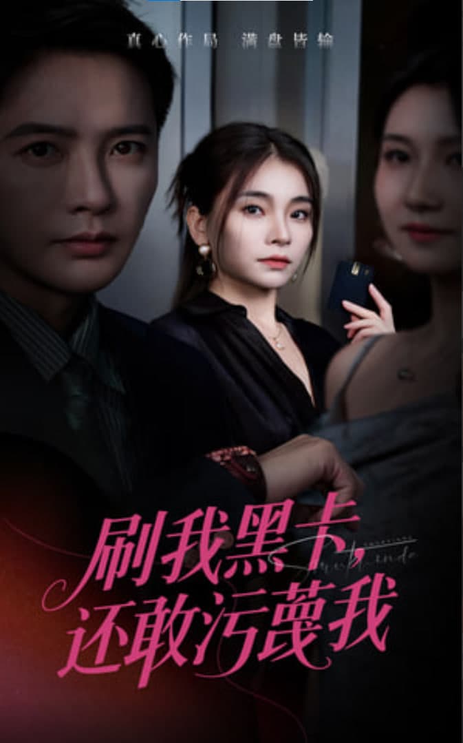 刷我黑卡还敢污蔑我 - 反转爽剧 (2025) 海报