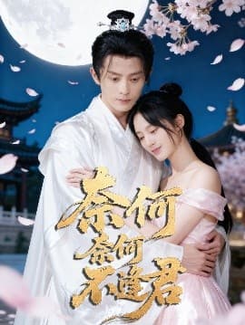 奈何奈何不逢君 - 现代都市 (2025) 海报