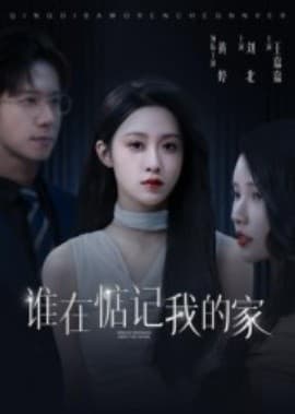 谁在惦记我的家 - 现代都市 (2025) 海报