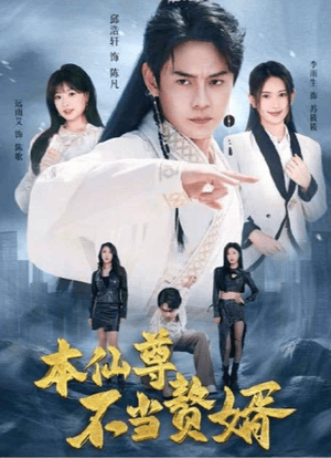 本仙尊不当赘婿 - 现代都市 (2025) 海报