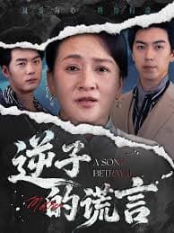 逆子的谎言 - 现代都市 (2025) 海报