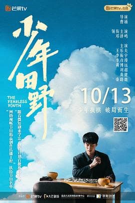 少年田野 - 国产剧 (2025) 海报