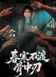 春寒不渡骨中刃 - 年代穿越 (2025) 海报