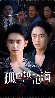 孤鸟越沧海 - 现代都市 (2025) 海报