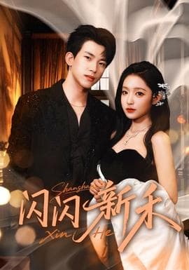 闪闪新禾 - 女频恋爱 (2025) 海报