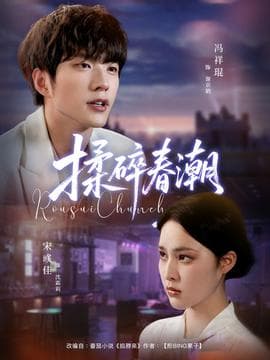 揉碎春潮 - 现代都市 (2025) 海报