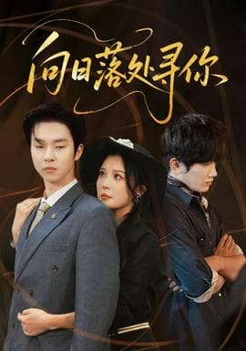 向日落处寻你 - 现代都市 (2025) 海报