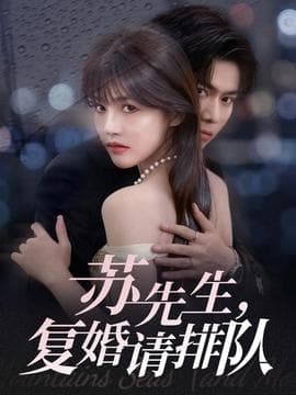 苏先生，复婚请排队 - 女频恋爱 (2025) 海报