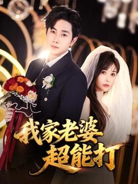 我家老婆超能打 - 现代都市 (2025) 海报