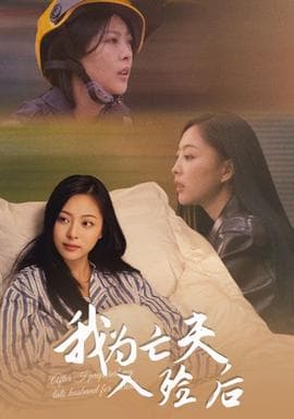 我为亡夫入殓后 - 现代都市 (2025) 海报