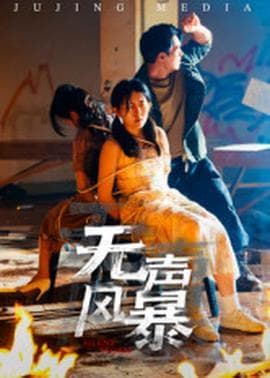 无声风暴 - 现代都市 (2025) 海报