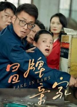 冒牌亲家 - 现代都市 (2025) 海报