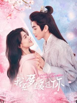 我在梦里爱过你 - 国产剧 2025