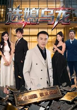 选媳乌龙 - 反转爽剧 (2025) 海报