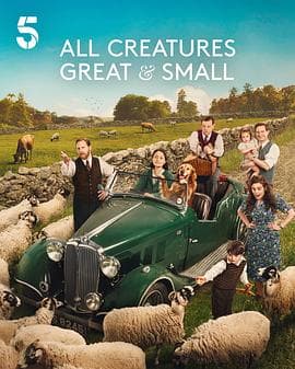 万物生灵第六季 - 欧美剧 2025