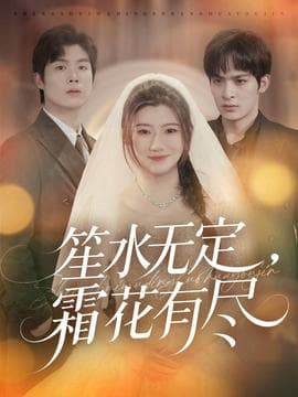 笙水无定，霜花有尽 - 现代都市 (2025) 海报