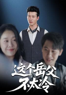 这个岳父不太冷 - 现代都市 (2025) 海报