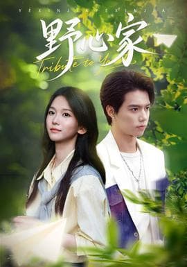 野心家 - 女频恋爱 (2025) 海报