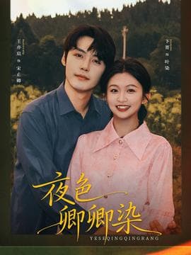 夜色卿卿染 - 年代穿越 (2025) 海报