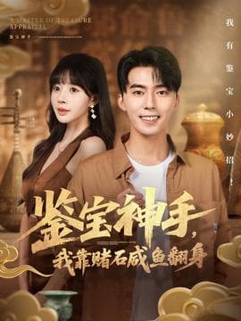 鉴宝神手，我靠赌石咸鱼翻身 - 年代穿越 (2025) 海报