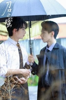 刀口之蜜 - 现代都市 (2025) 海报