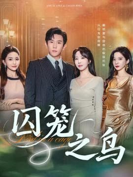 囚笼之鸟 - 现代都市 (2025) 海报