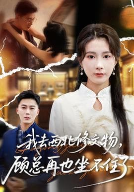 我去西北修文物，顾总再也坐不住了 - 女频恋爱 (2025) 海报