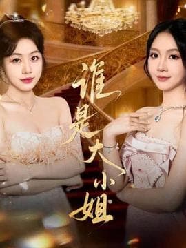 谁是大小姐 - 脑洞悬疑 (2025) 海报