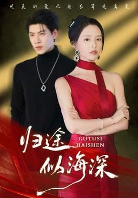 归途似海深 - 女频恋爱 (2025) 海报