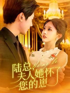 陆总，夫人她怀了您的崽 - 女频恋爱 2025