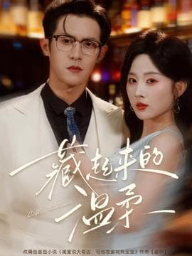 藏起来的温柔 - 女频恋爱 2025