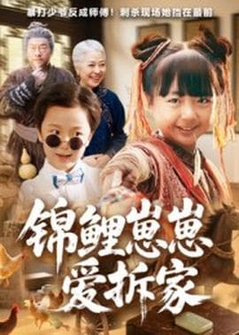 锦鲤崽崽爱拆家 - 年代穿越 2025