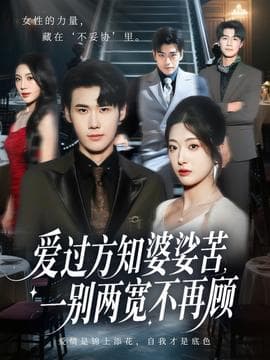 爱过方知婆娑苦一别两宽不再顾 - 现代都市 (2025) 海报