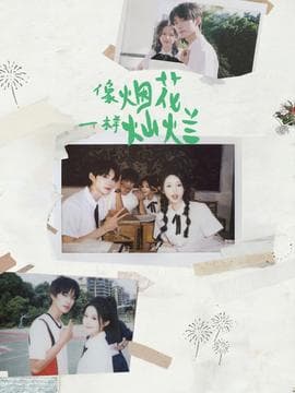 像烟花一样灿烂 - 女频恋爱 2025