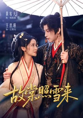 故棠照雪来 - 女频恋爱 (2025) 海报