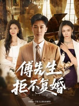 傅先生拒不复婚 - 现代都市 (2025) 海报