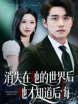 消失在她的世界后她才知道后悔 - 现代都市 2025
