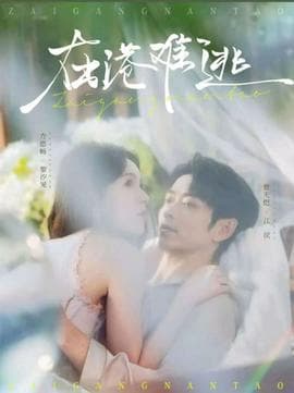 在港难逃 - 现代都市 2025