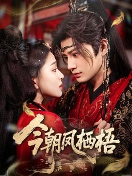 今朝凤栖梧 - 女频恋爱 (2025) 海报