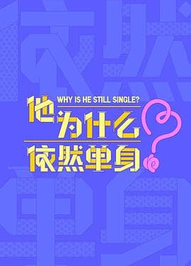 他为什么依然单身 - 国产剧 2025